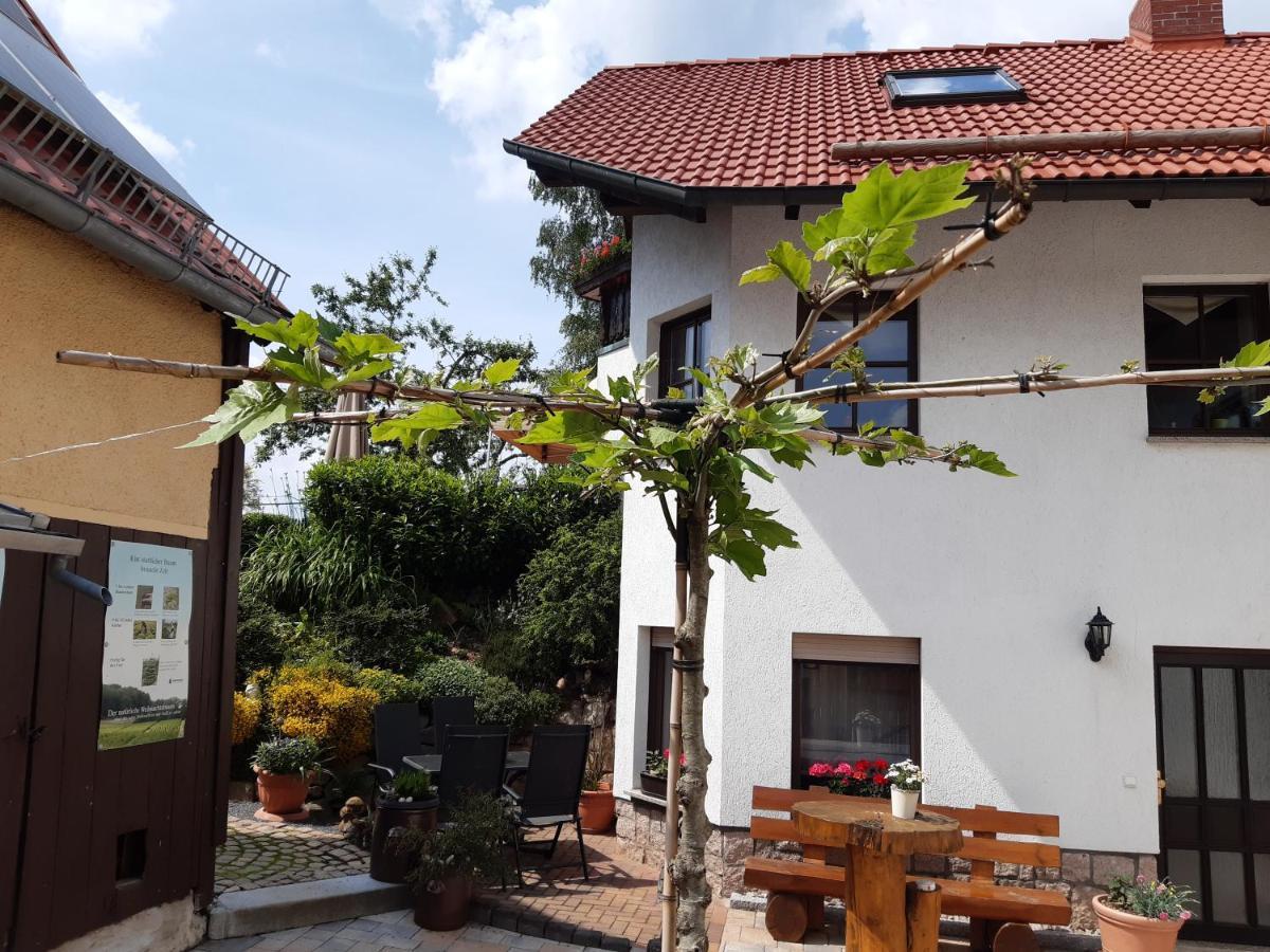 Ferienwohnung Reissmann Heinsdorfergrund Εξωτερικό φωτογραφία